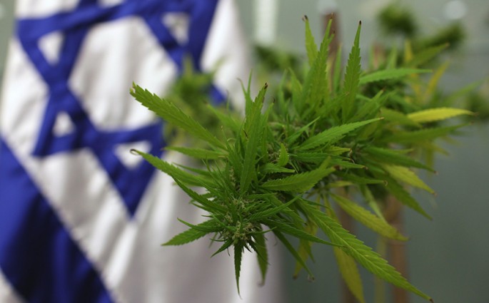 Cannabis Testing at The Hebrew University of Jerusalem, Israel (source)